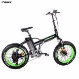  Electric Bike  TDM20